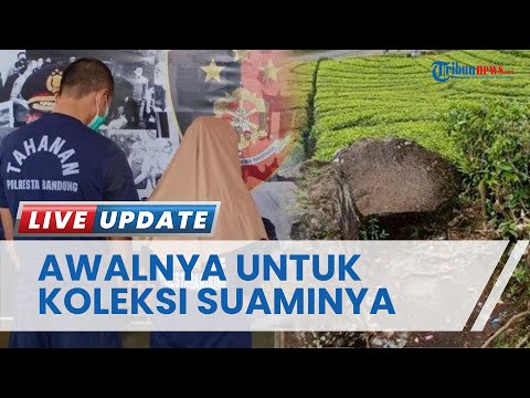 FAKTA BARU Video Tak Senonoh Wanita Bercadar di Kebun Teh Ciwidey, Pelaku & Penyebarnya Suami Istri