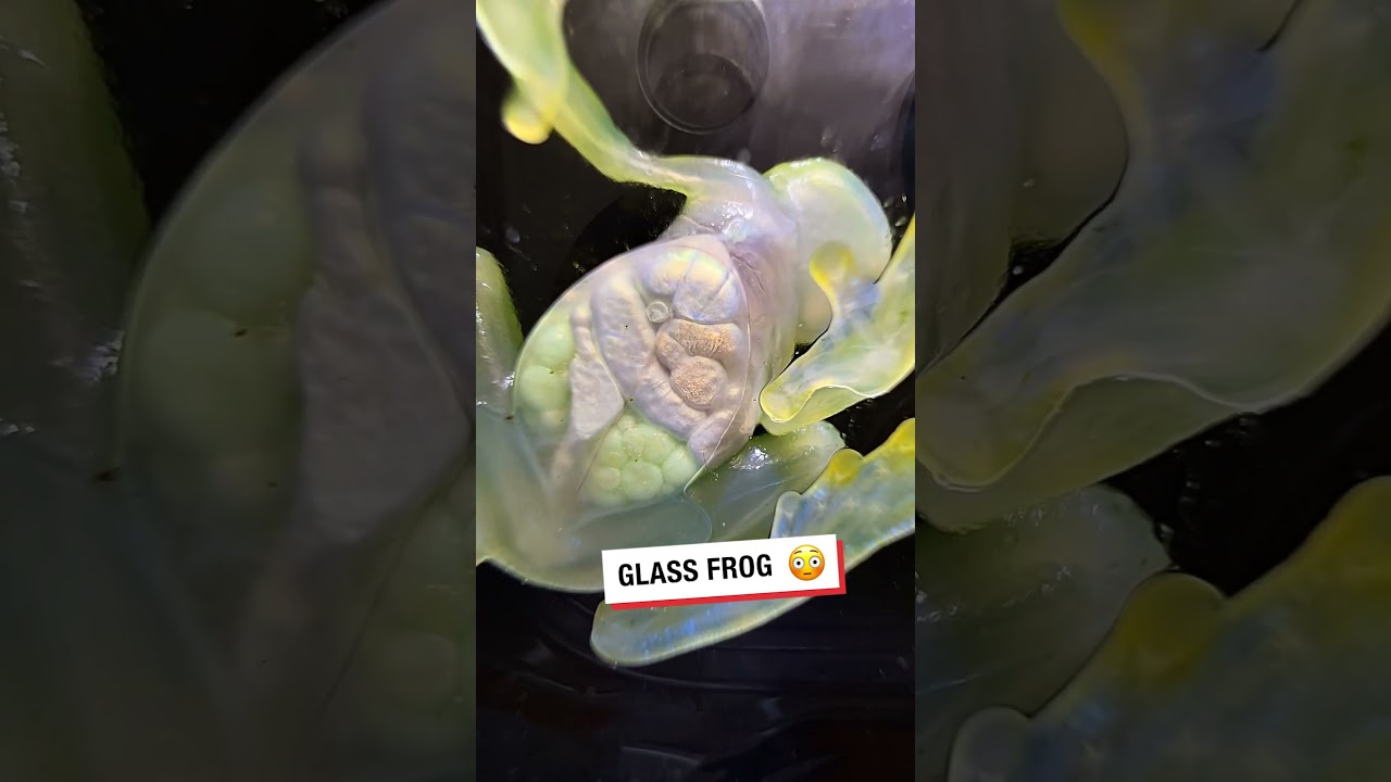 A lot is going on here 😮