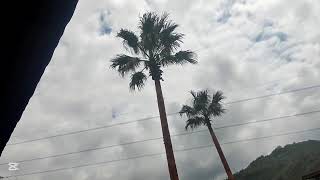 MUHTEŞEM GEZİ VLOG #MANZARA#DENİZ#DOĞA#keşfet 🌳🌲🍂