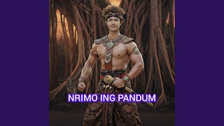 Download Lagu Nrimo Ing Pandum (Extended) MP3