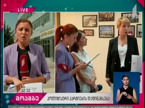 პარტიების დაფინანსება - ნინო ლომჯარია მესამე სექტორს ხვდება