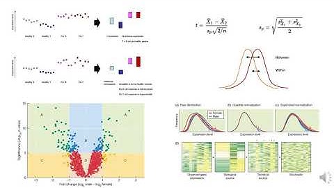 SISG 6 Preview Gene Expression Profiling