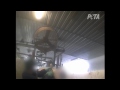 Dairy Farm Tied to Cheesemaker Exposed