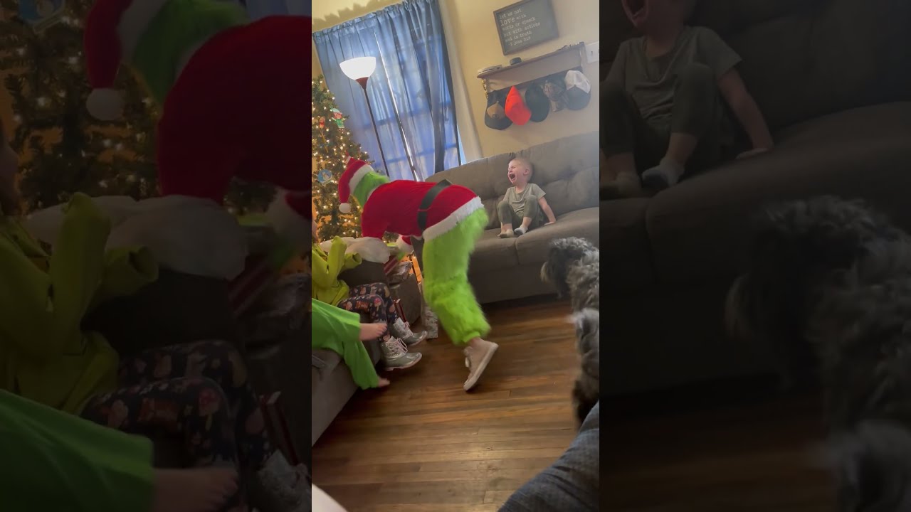 Family Shocked As Grinch Steals Christmas