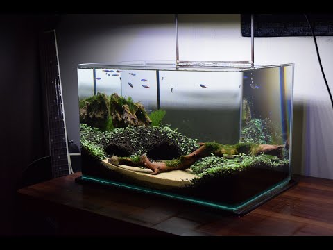 How to make an Aquascape (Cave theme) | No CO2