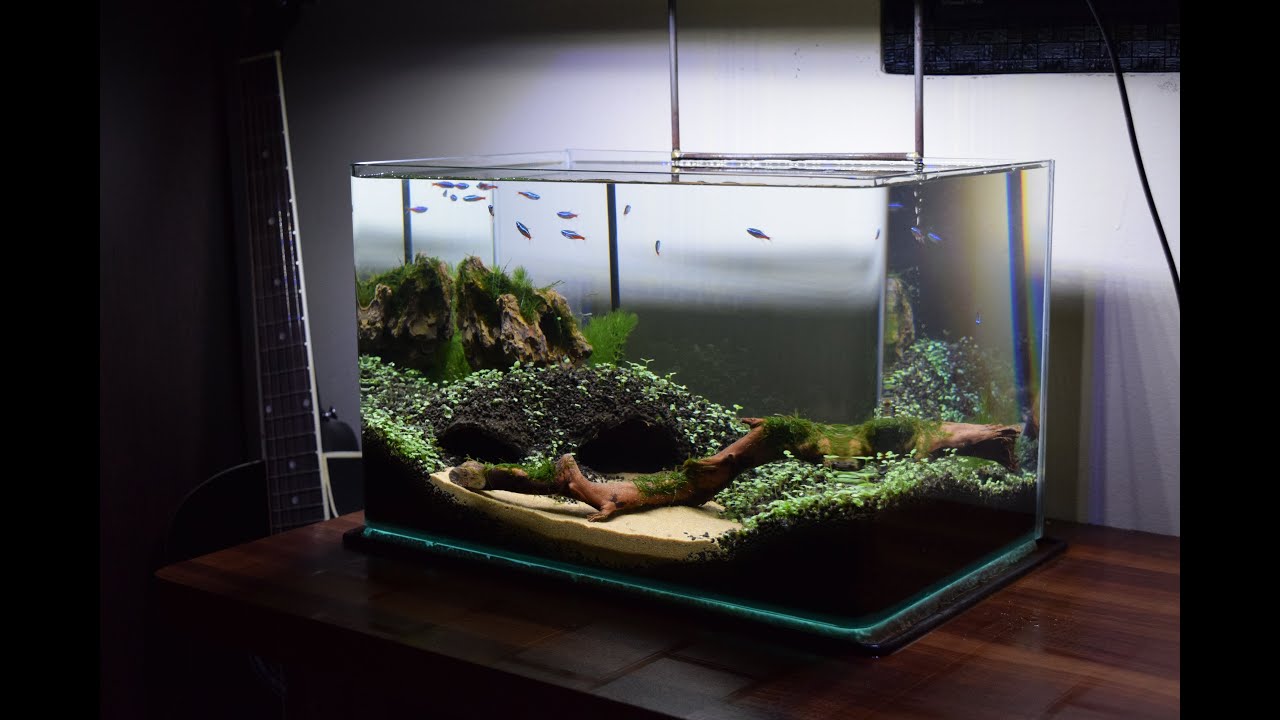 How to make an Aquascape (Cave theme) No CO2 YouTube