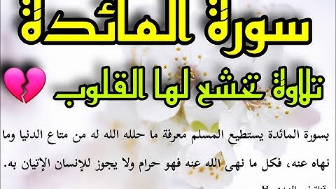 ⚜سورة المائدة كاملة ⚜بترتيل ونبرة حزينة💔 للشيخ حسن صالح