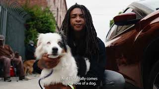 k9 Connection - Summer Pets' Landing