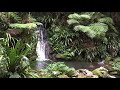 Lamington National Park -Albert River Circuit Waterfalls and Lookouts