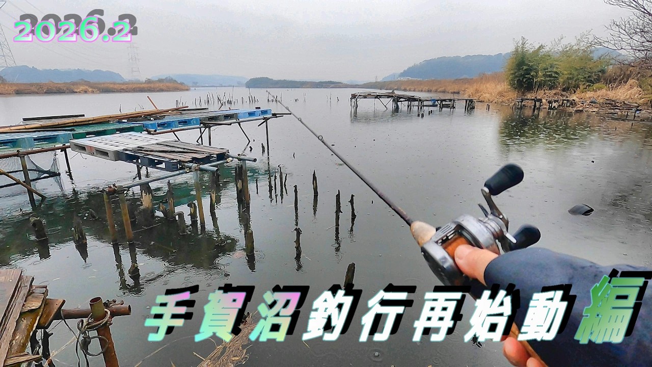 【動きます】再始動がてら手賀沼で釣行してきました　＃トップウォーター　＃バス釣り