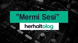 Mermi Silah Sesi | Ses Efektleri Resimi