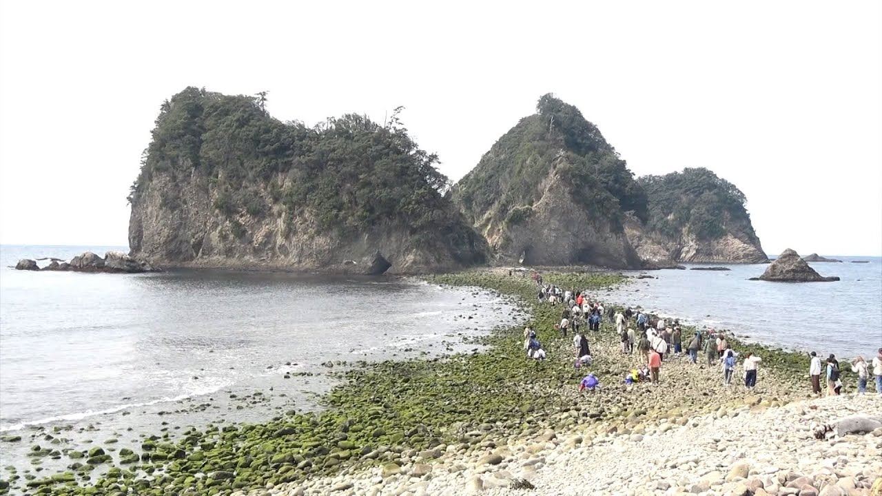 天然天然ブルマー 拾い物 