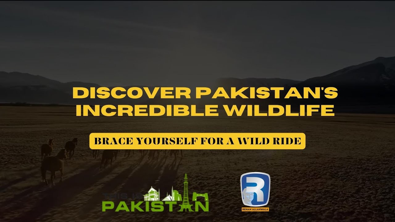 Thumbnail for Discover Pakistan's Incredible Wildlife: Brace Yourself for a Wild Ride | This is Pakistan
