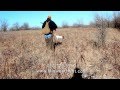 Kansas Quail Hunting Kansas Quail Hunting