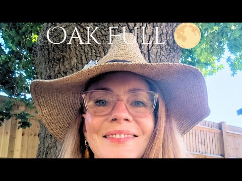 The Oak Moon has passed… but her teachings still echo.