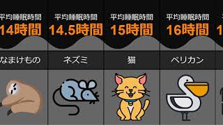 生き物の平均睡眠時間ランキング Youtube 生き物の平均睡眠時間ランキング Youtube