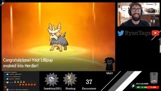 Shiny Lillipup via SOS evolves into Herdier in Pokemon Sun and Moon (CRAZY GOOD IVs)