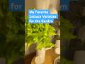 Top 5 Lettuce Varieties for the Hydroponic Gardyn #indoorgardening #lettuce