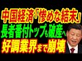 バブル崩壊は不動産業界だけじゃない、家電販売の大富豪も破産寸前の中国経済を徹底リポート【総集編】