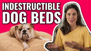 Best Tough Beds for Dogs (WE TRIED THEM ALL!) by Spots 85 views 1 year ago 3 minutes, 38 seconds