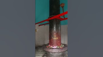 Mahakal Bholenath Darshan Rajrappa Temple #shortsvideo #viral #shorts #rajrappa #jharkhand