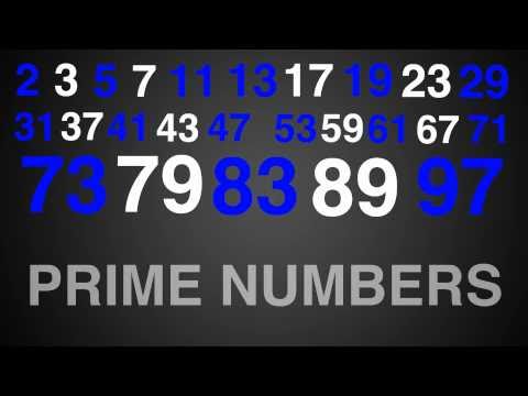 Prime Numbers Rap Typography (Math)