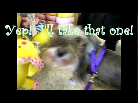 Dory Goes Shopping