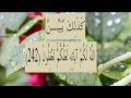 القران الكريم سورة البقرة الاية 242