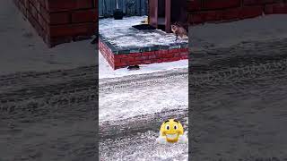 Cat Mission Catch Rat. Rat Mission Scare Cat. Rat Won.