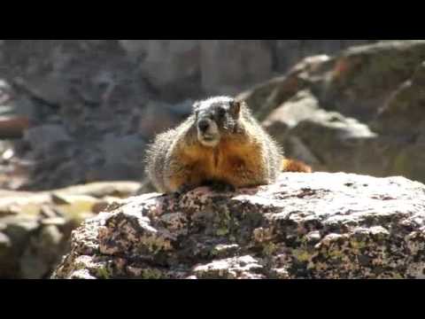 Camping and Hiking Long's Peak