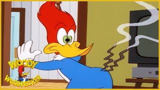 Woody Woodpecker Show | Downsized Woody | Full Episode | Videos For Kids