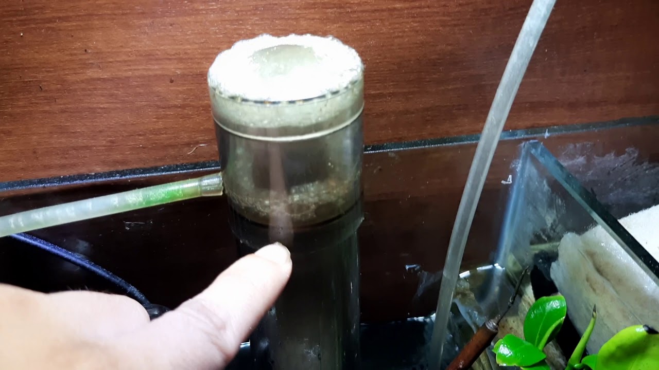 cara pasang dan setting protein skimmer RESUN SK 05 AQUARIUM AIR LAUT