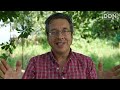 How The Media Stopped Us Caring About the Planet | George Monbiot