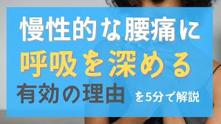 慢性的な腰痛の解消に呼吸を深めることが有効と考えられる理由を説明します！／背外側前頭前皮質の血流増加、マインドフルネスの痛み軽減など