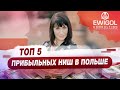 Бизнес в Польше / 5 самых прибыльных ниш в Польше / Работа в Польше