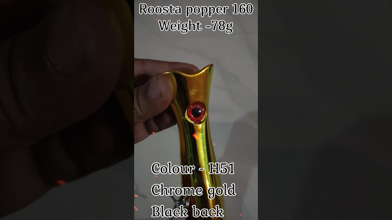 Roosta Popper 160 | 78g | H51 Chrome Gold Black Back | Topwater Fishing Action