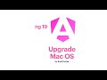 Angular 19 Upgrade Guide: Everything You Need to Know