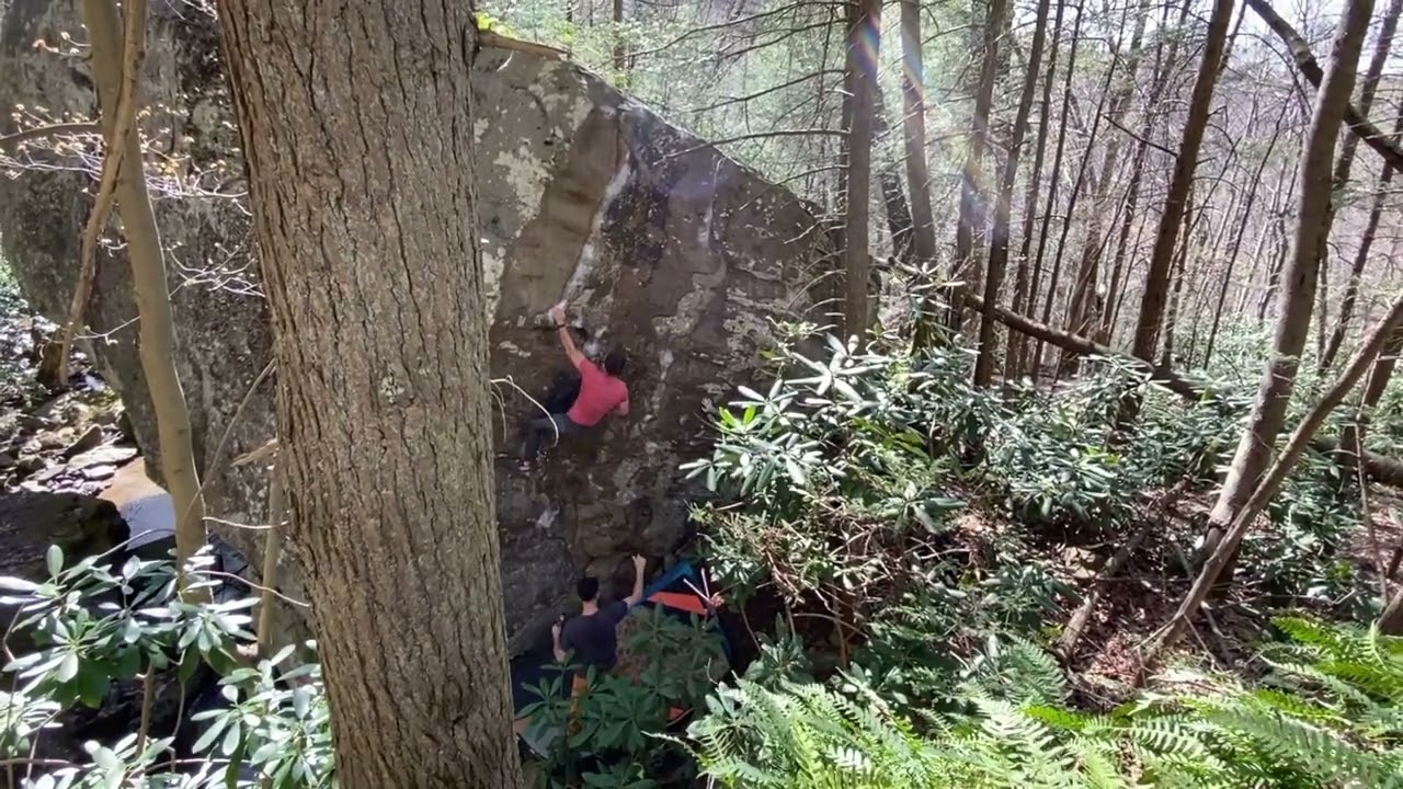 Proper Beanmeister V8 - NRG