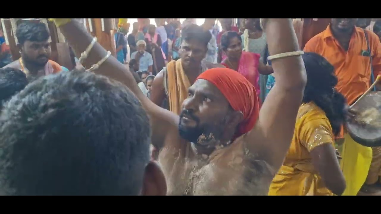 நெடுவாழி அம்மன் கோவில் கொடை # மஞ்சை நீர் சாமி ஆட்டம் part - 1 # S.S.குமார் & S.S.ராகவன்#P.K.கலைவாணன்