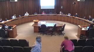 Community Issues Committee Meeting of May 25, 2020