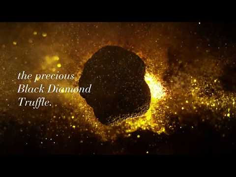 Video: Re-Nutriv and the Black Diamond truffle: how a very high quality treatment is born