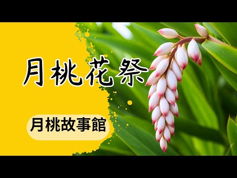 《月桃花祭開箱》花祭、料理、保養一次看 #月桃故事館 #月桃花祭 #嘉義旅遊