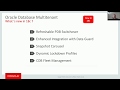 Synergie Oracle Db Multitenant &amp; DevOps