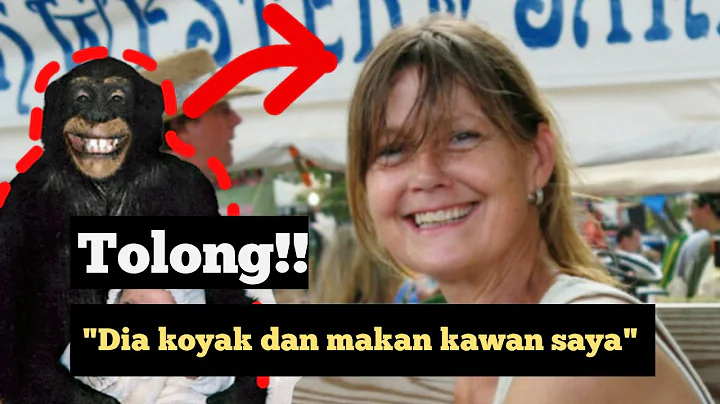 Sedih! Kisah Travis Chimpanzee yang menyerang raka...