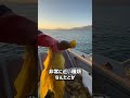 音を奏でる不思議な海藻ケルプ