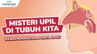 Animasi Belajar Sains untuk Anak - Bagaimanakah Upil Terbentuk?