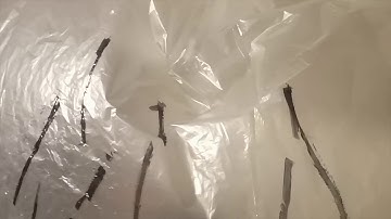 Arduino - White noise generator