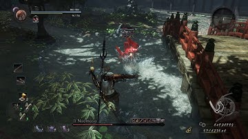 Li Naomasa level 1 NG+4 (Way of the Nioh)