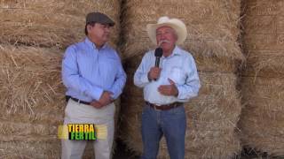 TIERRA FERTIL TV  Producción de Hongos (04.06.16)