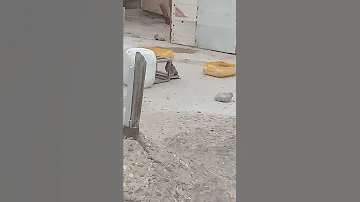 صيد بلا حدود 